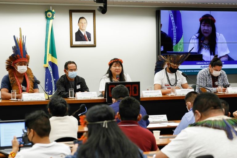 Deputada Joenia (C): 