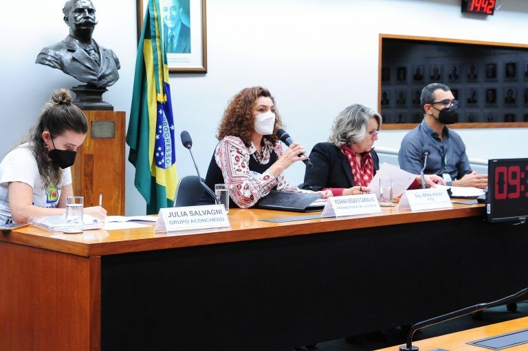 Debatedores pediram mais recursos para políticas públicas de acolhimento - (Foto: Billy Boss/Câmara dos Deputados)