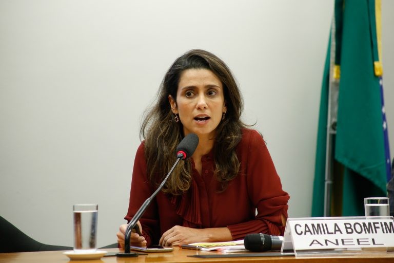 Camila Bomfim: privatização da Eletrobras deve significar redução nos reajustes - (Foto: Elaine Menke/Câmara dos Deputados)
