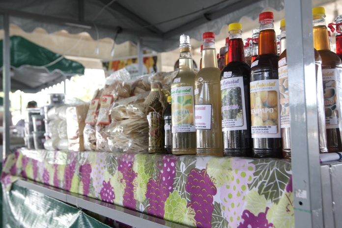 Foto: Caíque Gramosa/GOVBA