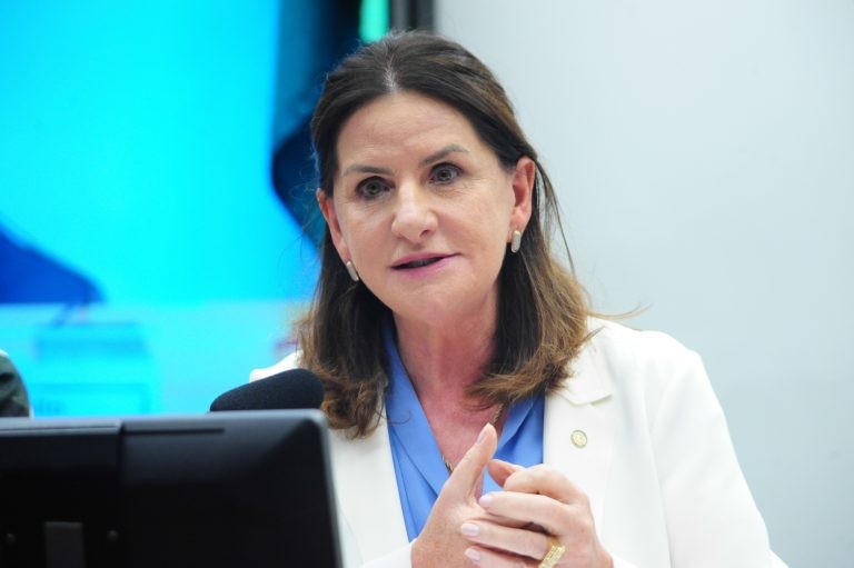 Carmen Zanotto vai relatar a proposta - (Foto: Billy Boss/Câmara dos Deputados)