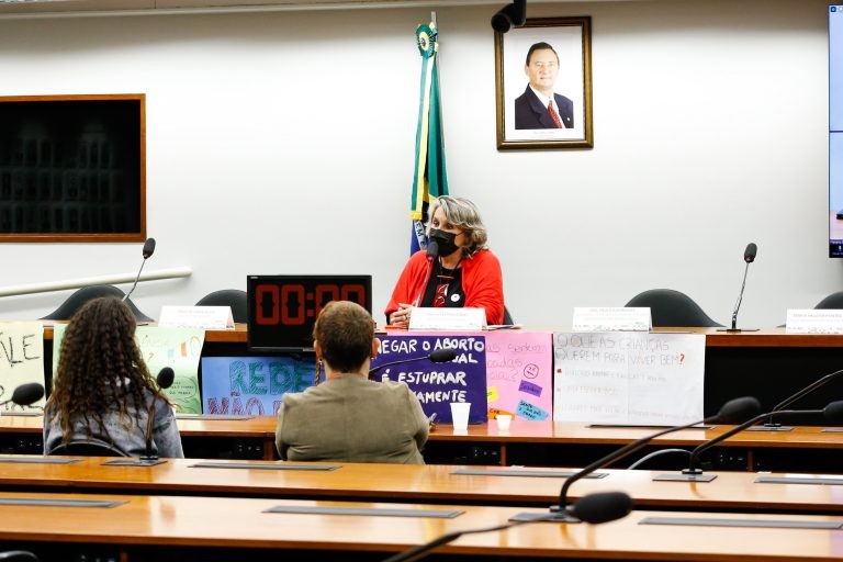 Audiência foi solicitada pela deputada Erika Kokay - (Foto: Elaine Menke/Câmara do Deputados)