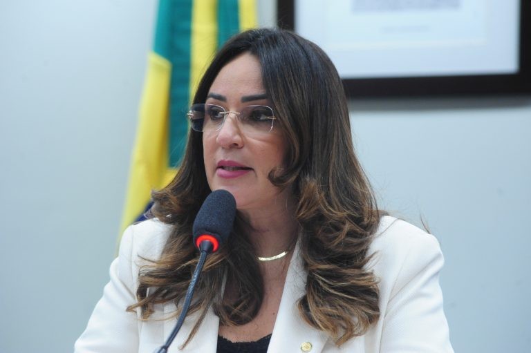 Rejane Dias: melhor estabelecer regras para visitas do que suspendê-las - (Foto: Billy Boss/Câmara dos Deputados)