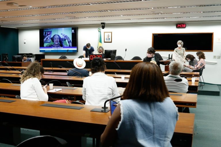 Artistas populares participaram da audiência na Comissão de Cultura - (Foto: Elaine Menke/Câmara do Deputados)