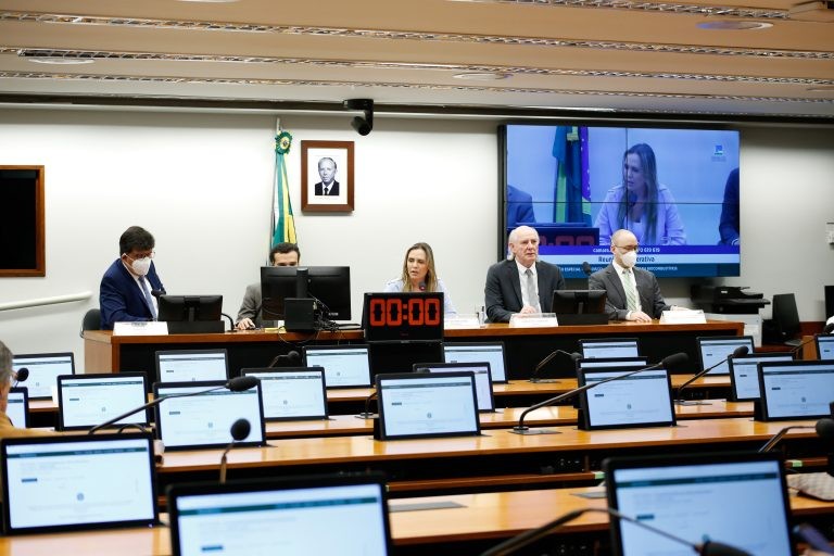Comissão realizou audiência nesta quinta-feira para debater o tema - (Foto: Elaine Menke/Câmara dos Deputados)