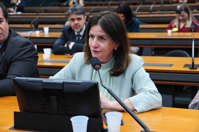 Carmen Zanotto: precisamos de mais enfermeiros tanto quanto de mais médicos - (Foto: Billy Boss/Câmara dos Deputados)