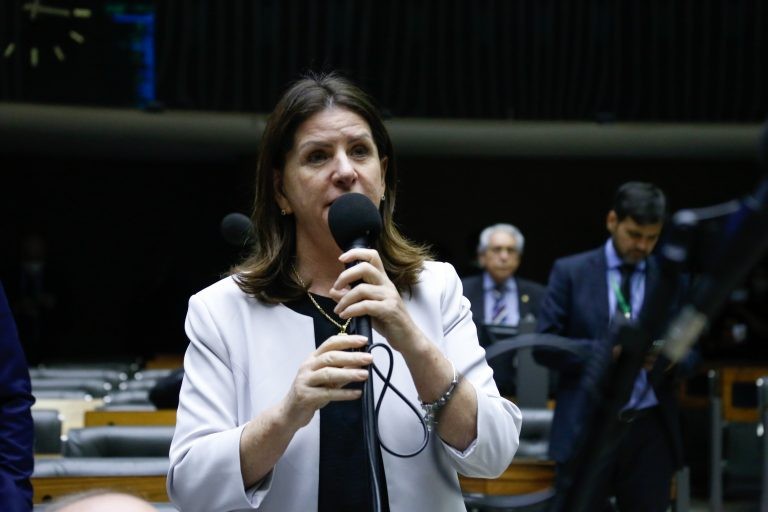 Carmen Zanotto, relatora da proposta - (Foto: Elaine Menke/Câmara do Deputados)