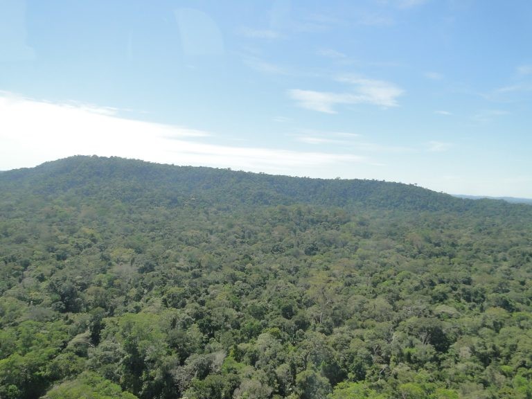 Vista aérea da Floresta Nacional do Bom Futuro - (Foto: Instituto Chico Mendes de Conservação da Biodiversidade)