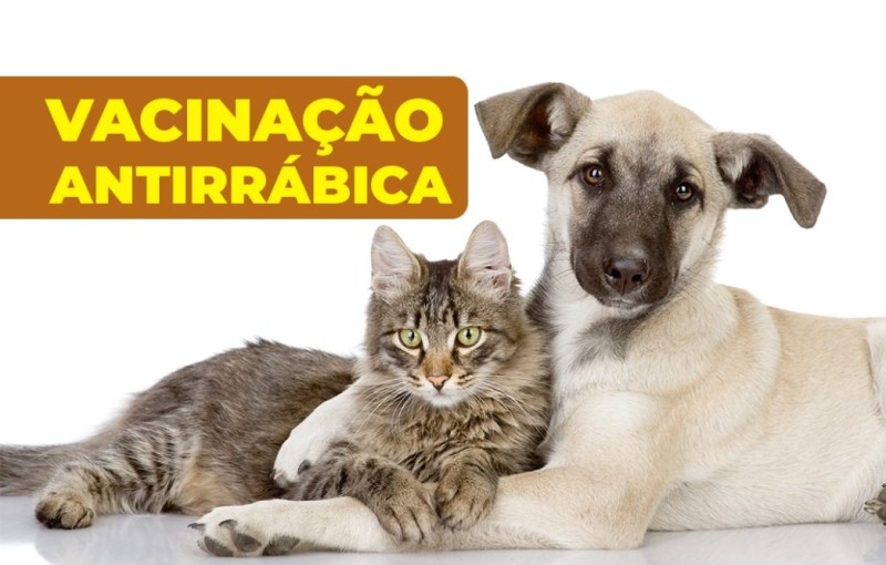 Foto: Reprodução/Prefeitura Mun. Vitória da Conquista - BA