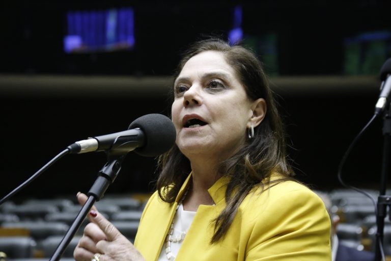 Soraya Santos, relatora do projeto de lei - (Foto: Elaine Menke/Câmara do Deputados)