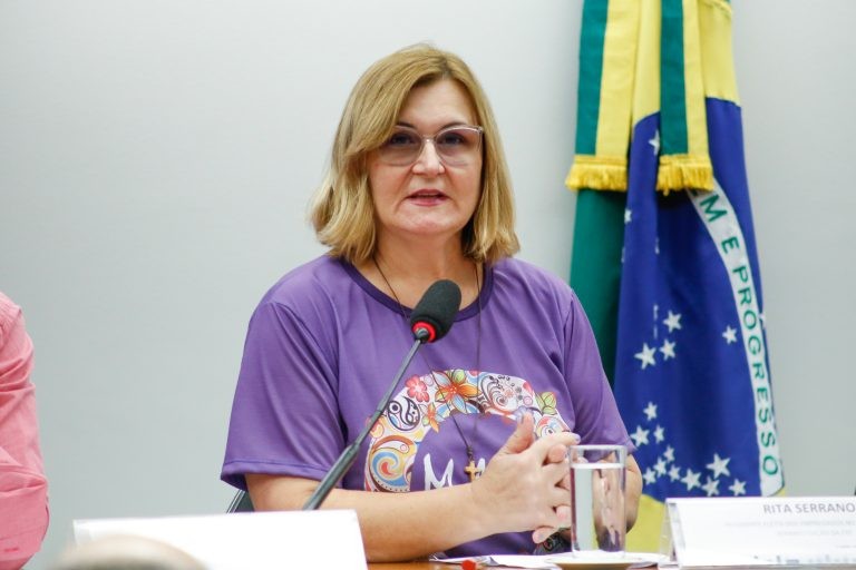 Kokay: existe um esquema de acobertamento dos crimes na empresa - (Foto: Elaine Menke/Câmara do Deputados)