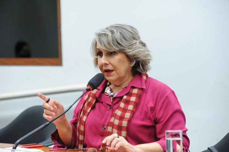 Erika Kokay: regulamentação é importante para que haja editais e ações - (Foto: Billy Boss/Câmara dos Deputados)