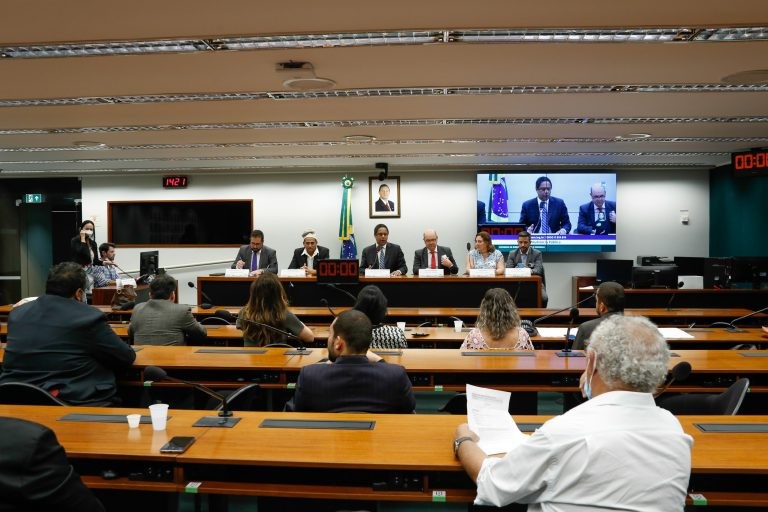 Audiência pública da Comissão de Direitos Humanos para debater segurança das eleições - (Foto: Elaine Menke/Câmara do Deputados)