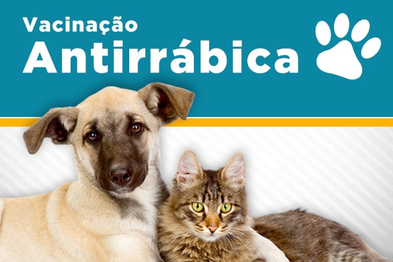 Foto: Reprodução/Prefeitura Mun. Vitória da Conquista - BA