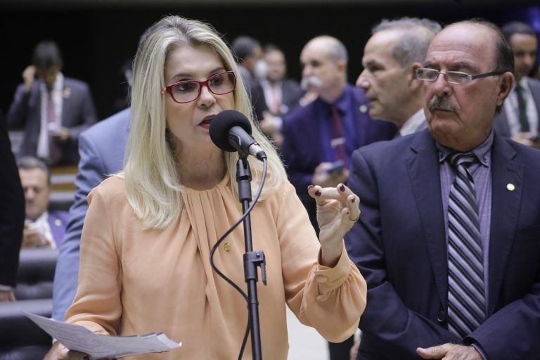Soraya Manato: a excepcionalidade se dará pelo período de um ano - (Foto: Paulo Sergio/Câmara dos Deputados)
