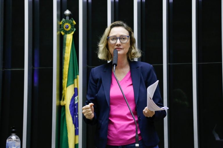 A relatora da proposta, deputada Maria do Rosário - (Foto: Elaine Menke/Câmara do Deputados)