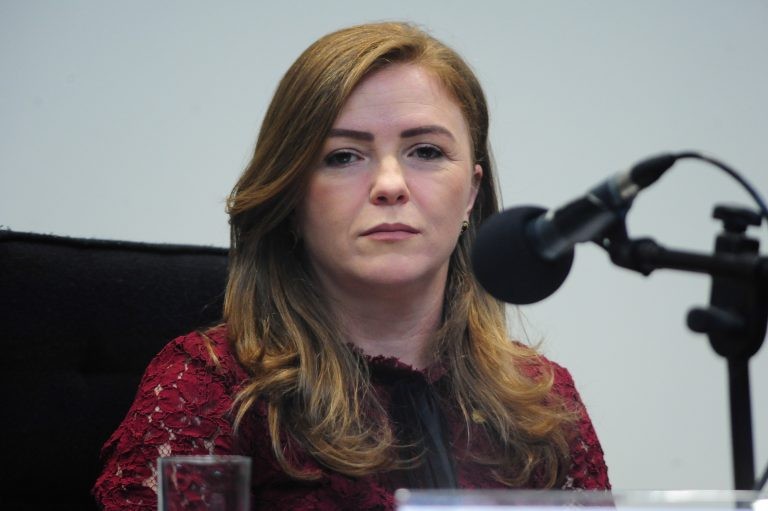 Deputada Leandre, relatora da proposta - (Foto: Billy Boss/Câmara dos Deputados)