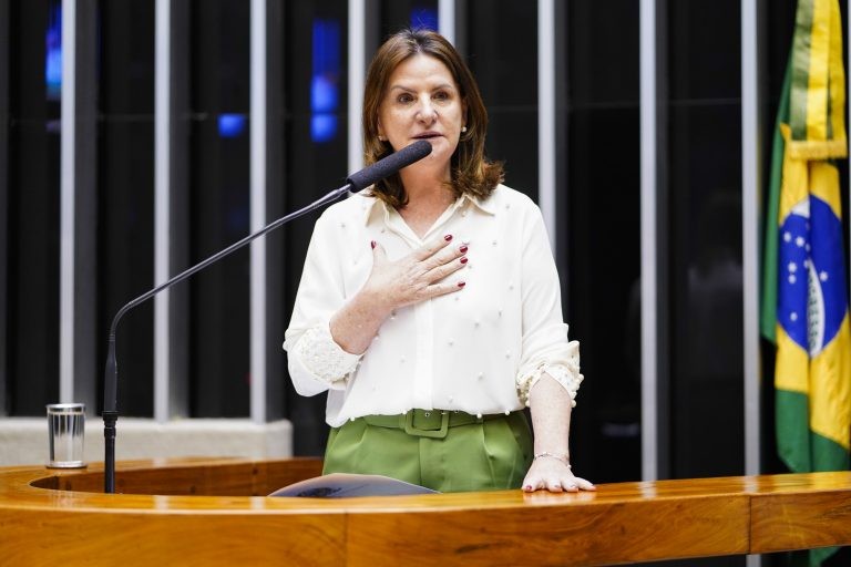 Carmen Zanotto apresentou um texto unificando dois projetos - (Foto: Pablo Valadares/Câmara dos Deputados)
