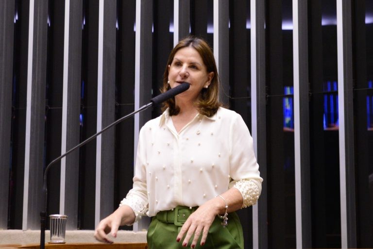Carmen Zanotto ressalta o atual fluxo migratório entre profissionais - (Foto: Wesley Amaral/Câmara dos Deputados)