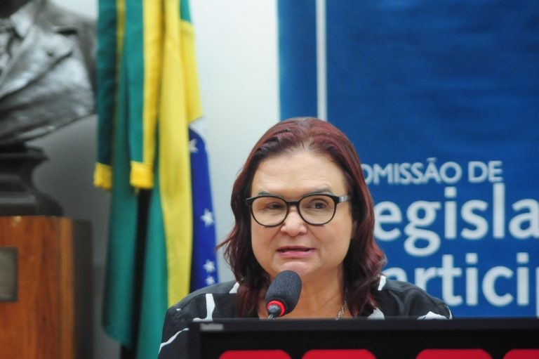 Rosa Neide cita estudos que apontam descaracterização dos cursos de licenciatura - (Foto: Billy Boss/Câmara dos Deputados)