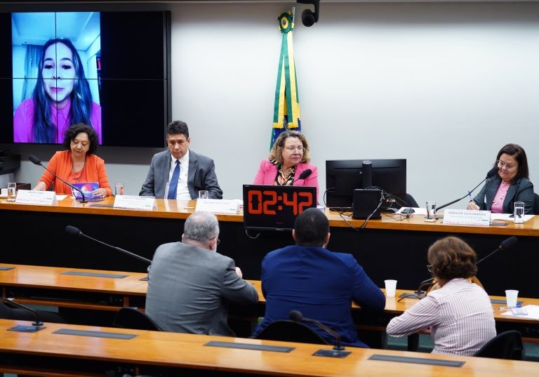 Tereza Nelma: é papel do Parlamento formular políticas públicas multissetoriais - (Foto: Pablo Valadares/ Câmara dos Deputados)