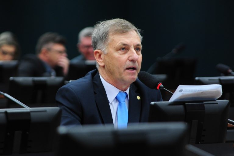 Deputado Luizão Goulart recomendou a rejeição da proposta - (Foto: Billy Boss/Câmara dos Deputados)