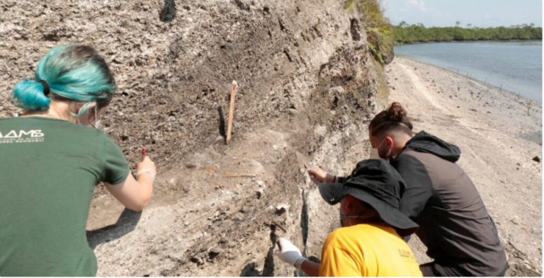 Pesquisadores encontram materiais em raro estado de conservação em Sambaqui de Joinville - (Foto: Secretaria de Cultura de Joinville)