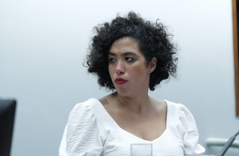 Talíria Petrone denuncia falha nas políticas de moradia e de defesa civil no município - (Foto: Bruno Spada/ Câmara dos Deputados)