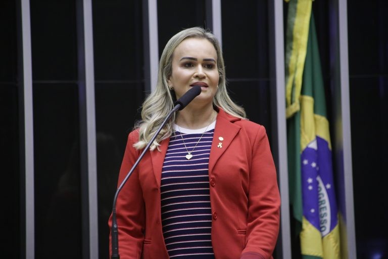 Relatora Daniela do Waguinho reuniu vários textos em um só - (Foto: Paulo Sergio/Câmara dos Deputados)