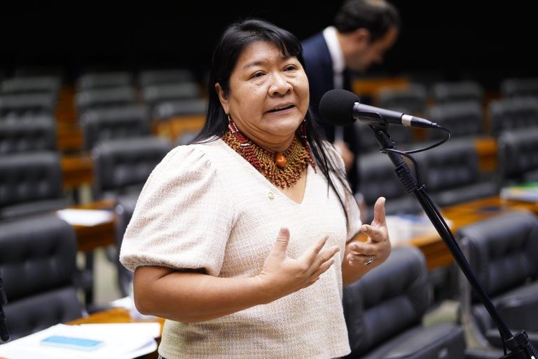 Joenia afirma que os yanomami estão em estado de vulnerabilidade - (Foto: Pablo Valadares/ Câmara dos Deputados)