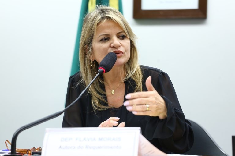 Flávia Morais recomendou a aprovação da proposta - (Foto: Vinicius Loures/ Câmara dos Deputados)
