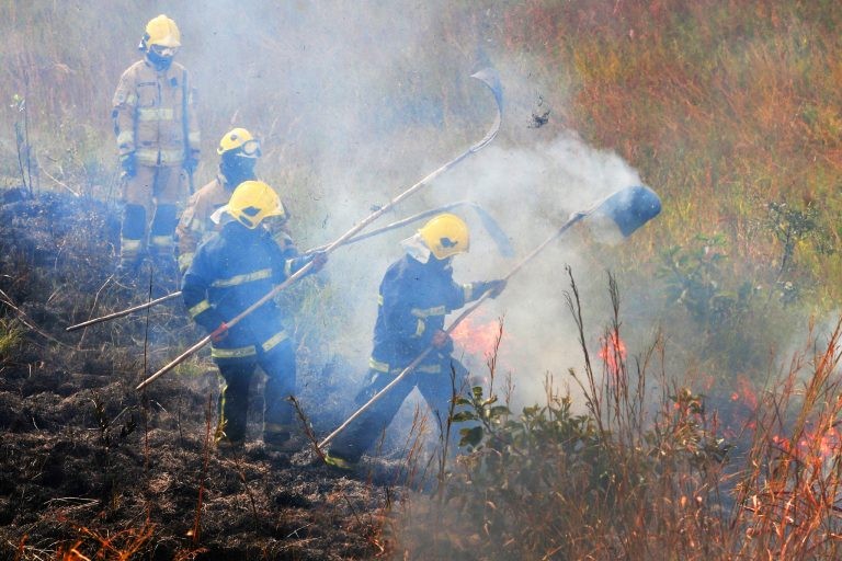 Relator alertou sobre a extinção do plano de prevenção de queimadas no Cerrado - (Foto: Acácio Pinheiro/Agência Brasília)