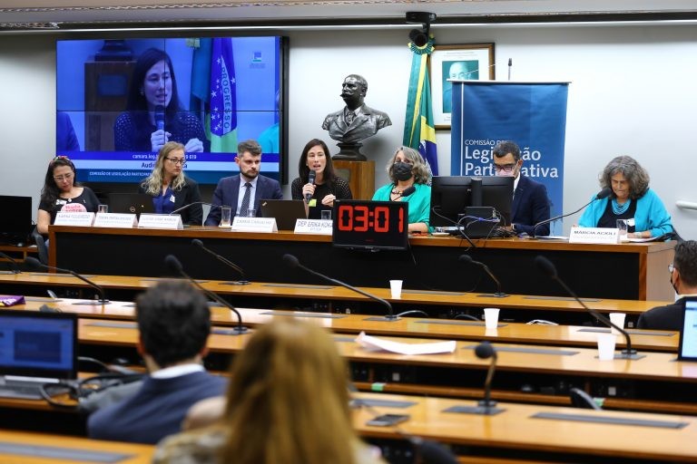 Especialistas afirmam que Brasil não destina recursos para a prevenção - (Foto: Vinícius Loures/Câmara dos Deeputados)