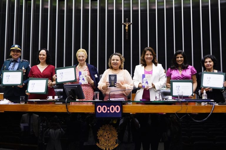 Premiação foi entregue em Sessão Solene no Plenário da Câmara - (Foto: Pablo Valadares/Câmara dos Deputados)