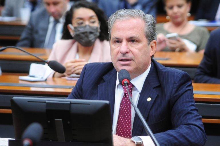 Alencar recomendou aprovação de substitutivo da Comissão da Mulher - (Foto: Billy Boss/Câmara dos Deputados)