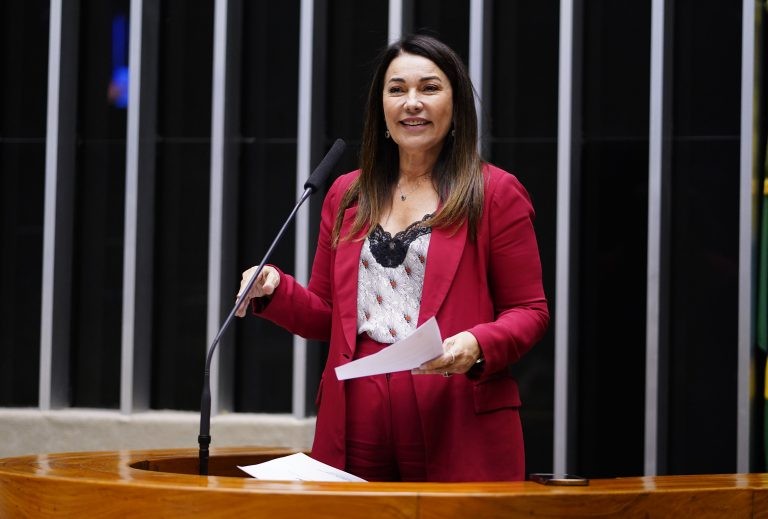 Margarete Coelho, relatora da proposta - (Foto: Pablo Valadares/Câmara dos Deputados)