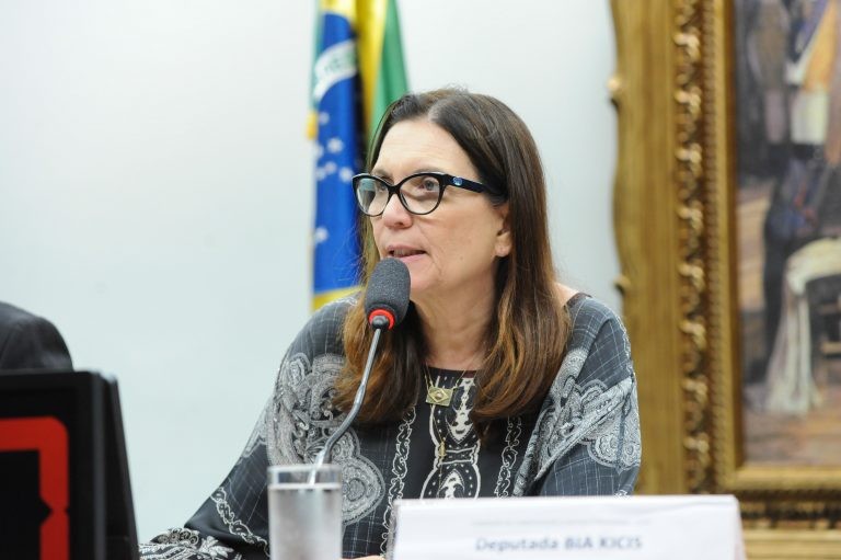 Bia Kicis quer fortalecer federalismo, simplificar tributação sobre o consumo e estimular crescimento econômico - (Foto: Billy Boss/Câmara dos Deputados)