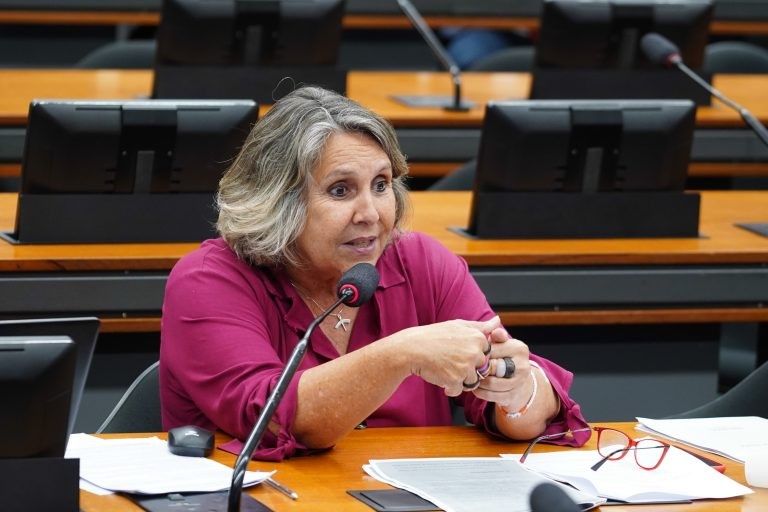 Erika Kokay fez ajustes no projeto para adequá-lo a legislações mais recentes - (Foto: Pablo Valadares / Câmara dos Deputados)