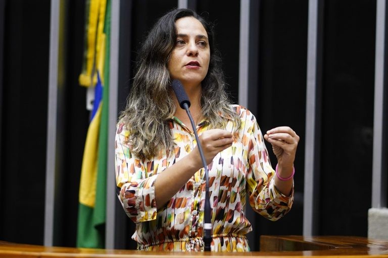 Melchionna: proposta é mecanismo importante no combate às desigualdades de gênero - (Foto: Pablo Valadares/Câmara dos Deputados)