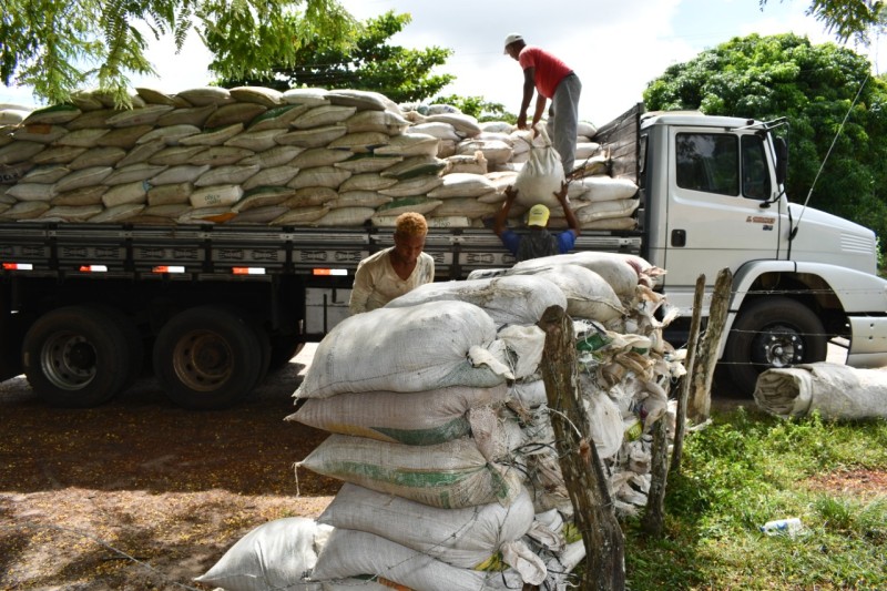 Foto: Reprodução/Prefeitura de Alagoinhas - BA