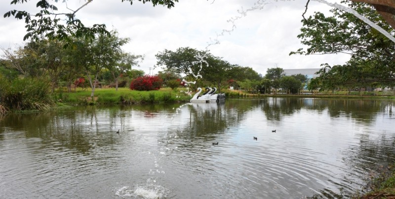 Fotos: Divulgação/SEMMAM