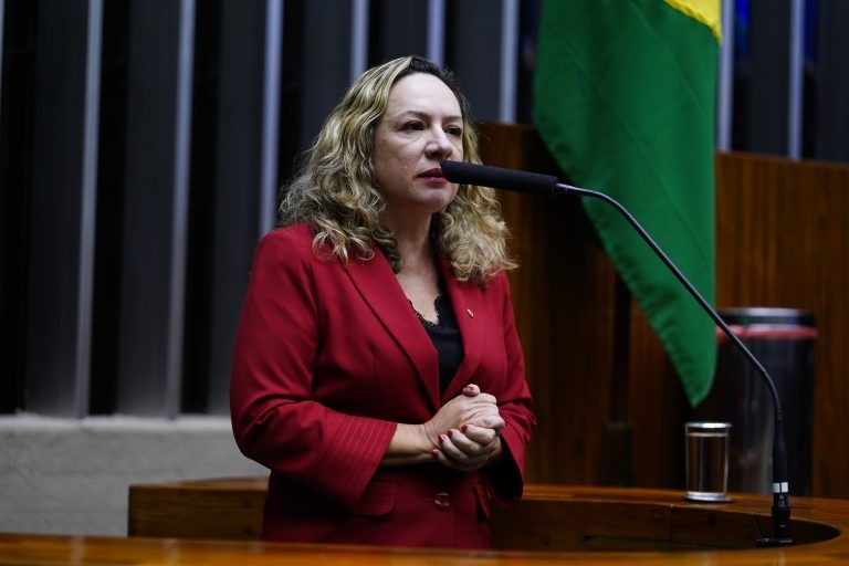 Accorsi: feminicídios não reproduzem nem a metade dos casos de violência - (Foto: Pablo Valadares/Câmara dos Deputados)