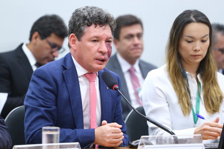 Colegiado é coordenado pelo deputado Reginaldo Lopes - (Foto: Vinicius Loures/Câmara dos Deputados)