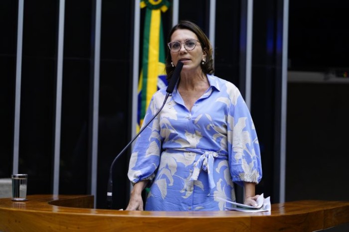 Deputada Rosana Valle, autora da proposta - (Foto: Pablo Valadares/Câmara dos Deputados)