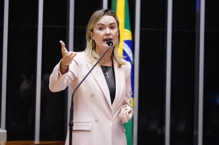 A autora da proposta, deputada Julia Zanatta - (Foto: Pablo Valadares/Câmara dos Deputados)