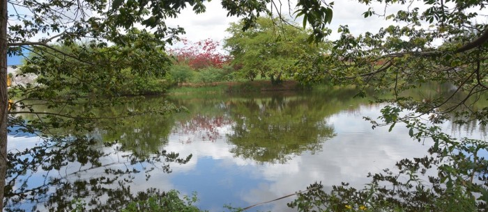 Foto: ReproduÃ§Ã£o/Prefeitura de Feira de Santana - BA