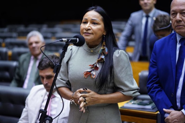 Deputada Silvia Waiãpi, autora da proposta - (Foto: Pablo Valadares/Câmara dos Deputados)