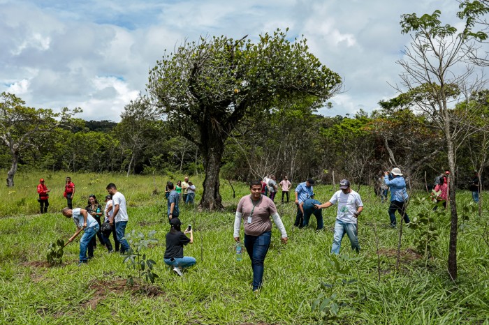 Foto: Reprodução/Prefeitura de Caruaru - PE