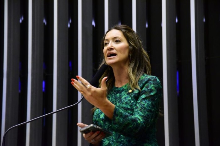 Greyce Elias: prorrogação resguarda operações em andamento no aeroporto mineiro - (Foto: Cleia Viana / Câmara dos Deputados)
