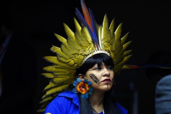 Célia Xakriabá lembrou os problemas que os povos indígenas têm passado com a contaminação da água - (Foto: Pablo Valadares/Câmara dos Deputados)